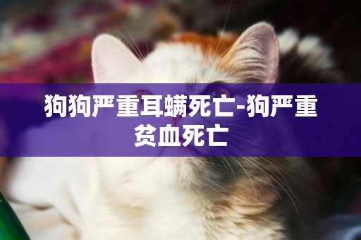 狗狗嚴重耳螨死亡-狗嚴重貧血死亡
