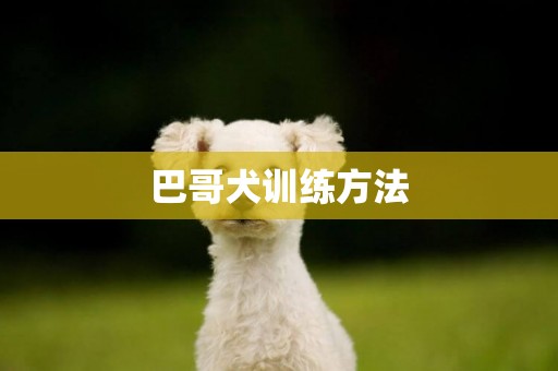 巴哥犬訓練方法