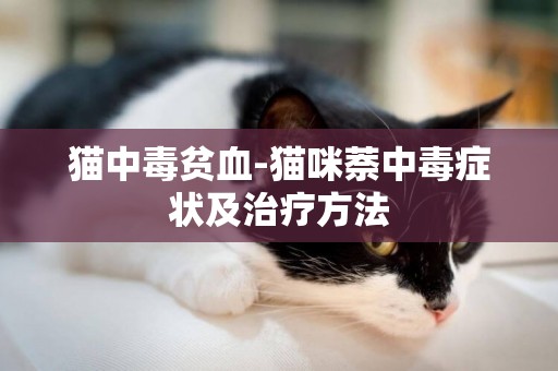 貓中毒貧血-貓咪萘中毒癥狀及治療方法