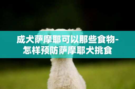 成犬薩摩耶可以那些食物-怎樣預防薩摩耶犬挑食