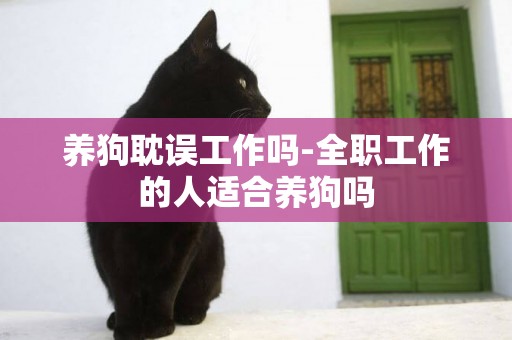 養狗耽誤工作嗎-全職工作的人適合養狗嗎