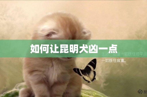 如何讓昆明犬兇一點