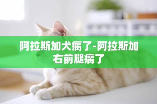 阿拉斯加犬瘸了-阿拉斯加右前腿瘸了