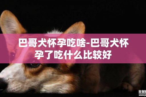 巴哥犬懷孕吃啥-巴哥犬懷孕了吃什么比較好