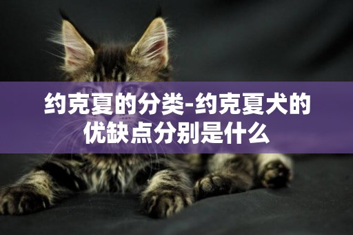 約克夏的分類-約克夏犬的優缺點分別是什么