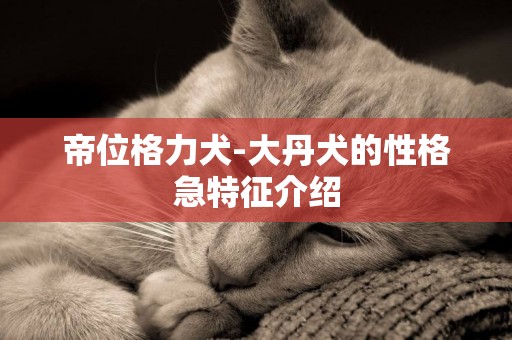 帝位格力犬-大丹犬的性格急特征介紹