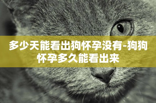 多少天能看出狗懷孕沒有-狗狗懷孕多久能看出來