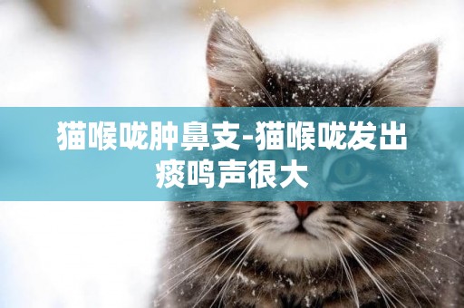 貓喉嚨腫鼻支-貓喉嚨發出痰鳴聲很大