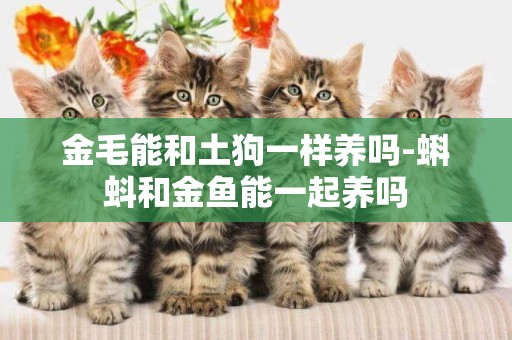 金毛能和土狗一樣養嗎-蝌蚪和金魚能一起養嗎