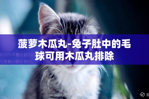 菠蘿木瓜丸-兔子肚中的毛球可用木瓜丸排除