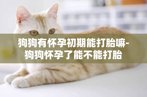 狗狗有懷孕初期能打胎嘛-狗狗懷孕了能不能打胎