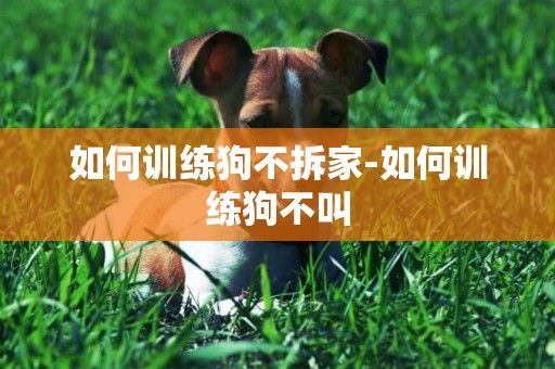 如何訓練狗不拆家-如何訓練狗不叫