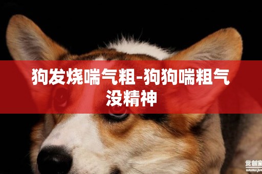 狗發燒喘氣粗-狗狗喘粗氣沒精神