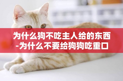 為什么狗不吃主人給的東西-為什么不要給狗狗吃重口味的東西