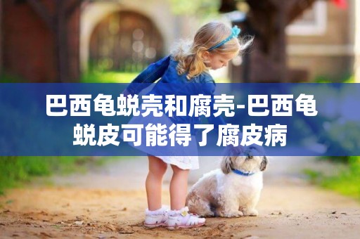 巴西龜蛻殼和腐殼-巴西龜蛻皮可能得了腐皮病