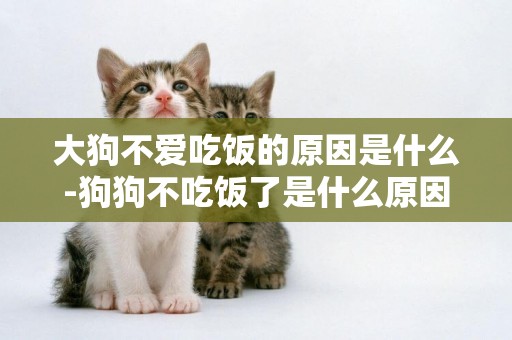 大狗不愛吃飯的原因是什么-狗狗不吃飯了是什么原因