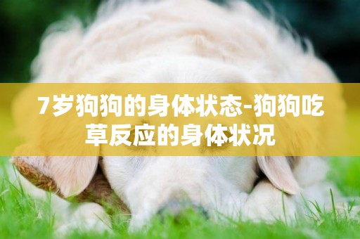 7歲狗狗的身體狀態-狗狗吃草反應的身體狀況