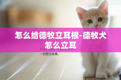 怎么給德牧立耳根-德牧犬怎么立耳