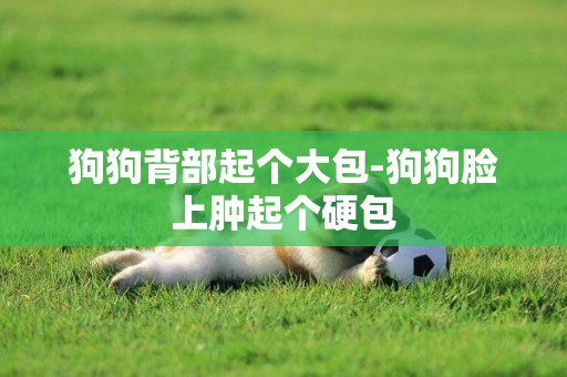 狗狗背部起個大包-狗狗臉上腫起個硬包