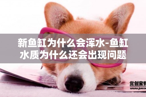 新魚缸為什么會渾水-魚缸水質為什么還會出現問題