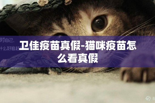 衛佳疫苗真假-貓咪疫苗怎么看真假