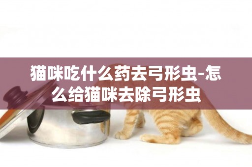 貓咪吃什么藥去弓形蟲-怎么給貓咪去除弓形蟲