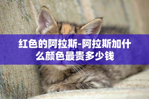 紅色的阿拉斯-阿拉斯加什么顏色最貴多少錢