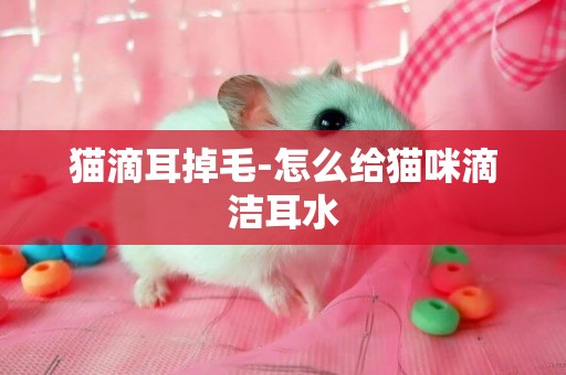 貓滴耳掉毛-怎么給貓咪滴潔耳水