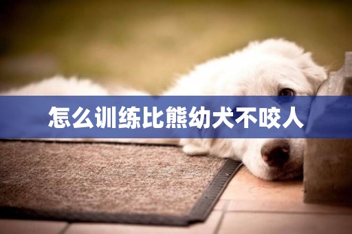 怎么訓練比熊幼犬不咬人