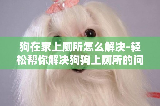 狗在家上廁所怎么解決-輕松幫你解決狗狗上廁所的問題