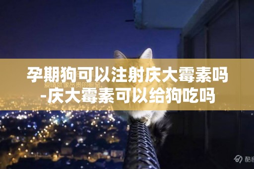 孕期狗可以注射慶大霉素嗎-慶大霉素可以給狗吃嗎