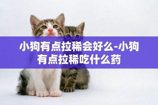 小狗有點拉稀會好么-小狗有點拉稀吃什么藥