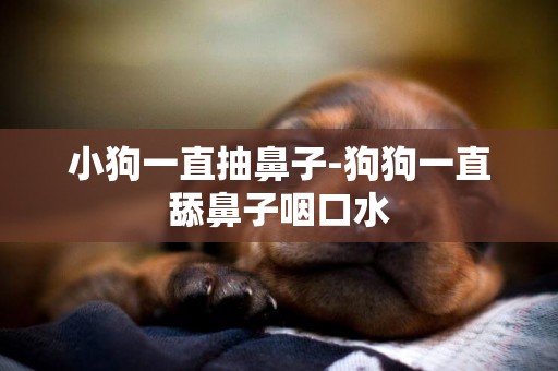 小狗一直抽鼻子-狗狗一直舔鼻子咽口水