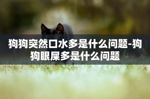 狗狗突然口水多是什么問題-狗狗眼屎多是什么問題