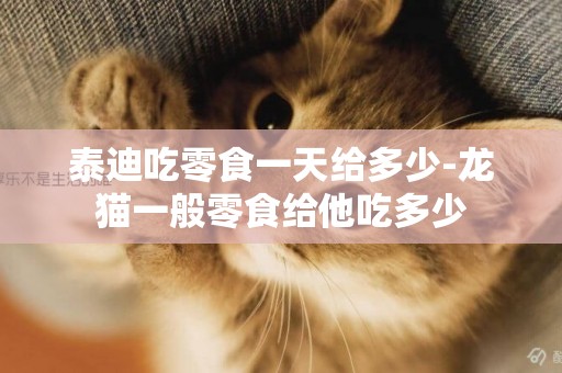 泰迪吃零食一天給多少-龍貓一般零食給他吃多少