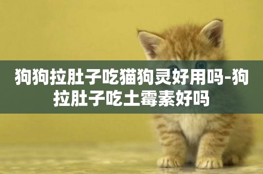 狗狗拉肚子吃貓狗靈好用嗎-狗拉肚子吃土霉素好嗎
