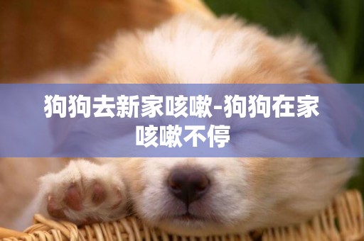 狗狗去新家咳嗽-狗狗在家咳嗽不停