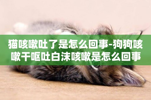 貓咳嗽吐了是怎么回事-狗狗咳嗽干嘔吐白沫咳嗽是怎么回事