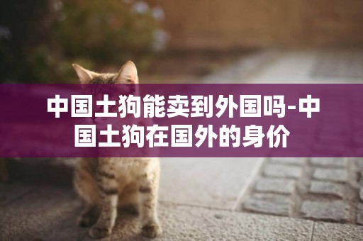 中國土狗能賣到外國嗎-中國土狗在國外的身價