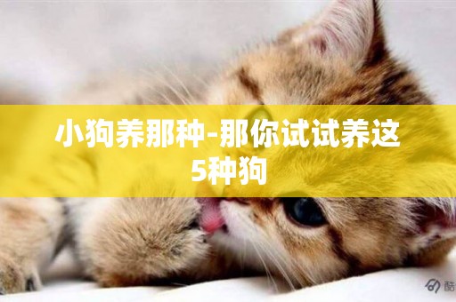 小狗養那種-那你試試養這5種狗