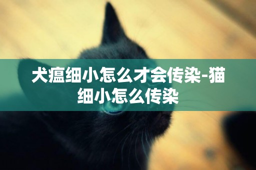犬瘟細小怎么才會傳染-貓細小怎么傳染