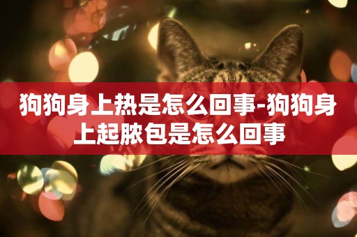 狗狗身上熱是怎么回事-狗狗身上起膿包是怎么回事