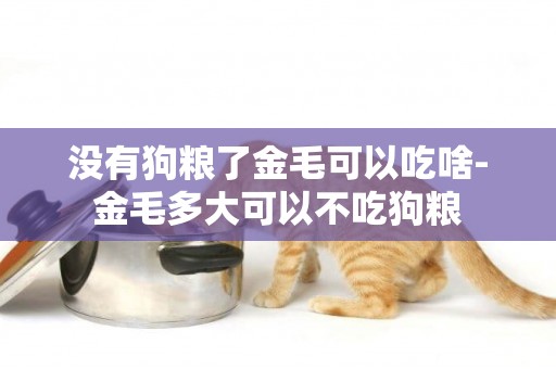 沒有狗糧了金毛可以吃啥-金毛多大可以不吃狗糧