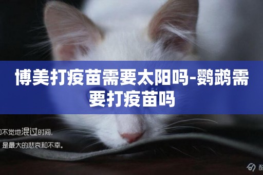 博美打疫苗需要太陽嗎-鸚鵡需要打疫苗嗎