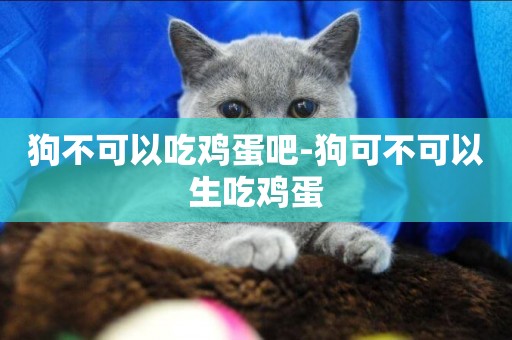 狗不可以吃雞蛋吧-狗可不可以生吃雞蛋
