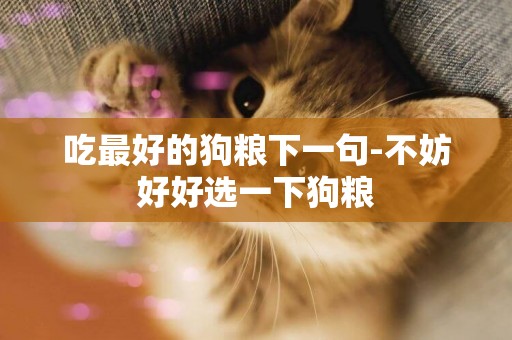 吃最好的狗糧下一句-不妨好好選一下狗糧