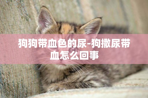 狗狗帶血色的尿-狗撒尿帶血怎么回事