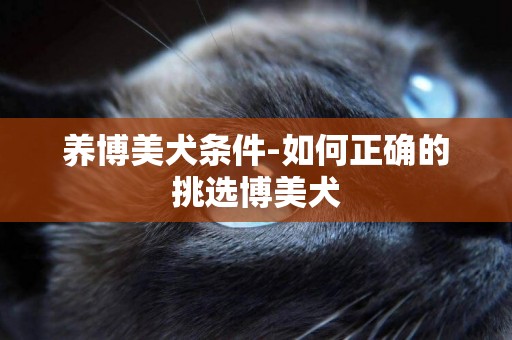 養博美犬條件-如何正確的挑選博美犬