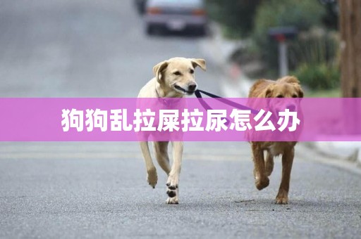 狗狗亂拉屎拉尿怎么辦