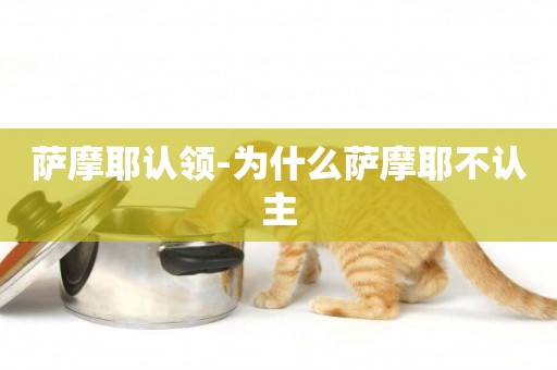 薩摩耶認領-為什么薩摩耶不認主